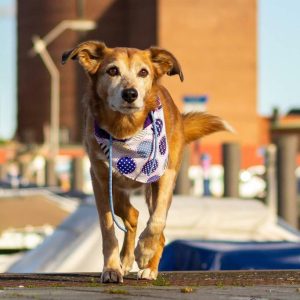 IMG_20201017_212105_425