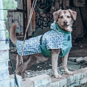 Z91A7006-Bearbeitet-3